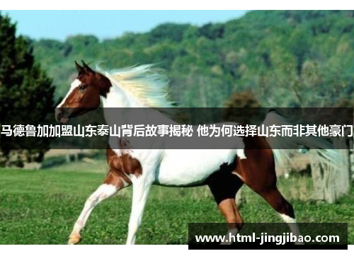 马德鲁加加盟山东泰山背后故事揭秘 他为何选择山东而非其他豪门