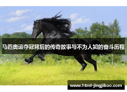 马匹奥运夺冠背后的传奇故事与不为人知的奋斗历程