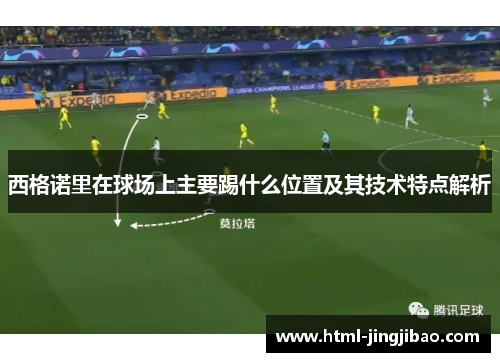 西格诺里在球场上主要踢什么位置及其技术特点解析